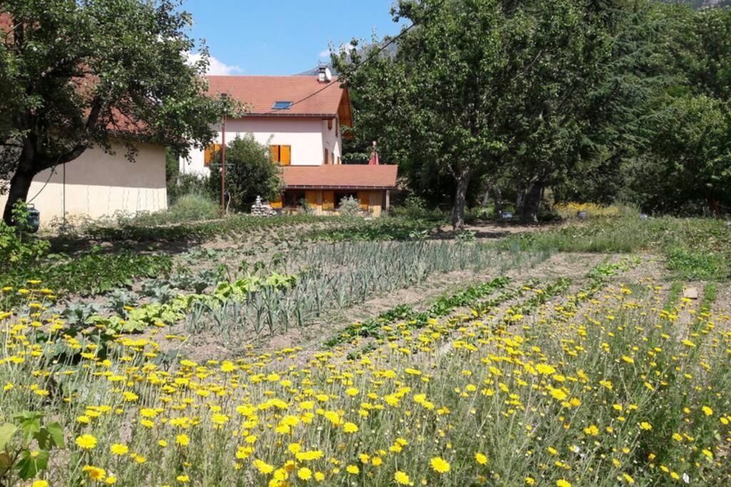 Gite "Entre Champsaur Et Valgodemard" Saint-Jacques-en-Valgodemard ภายนอก รูปภาพ
